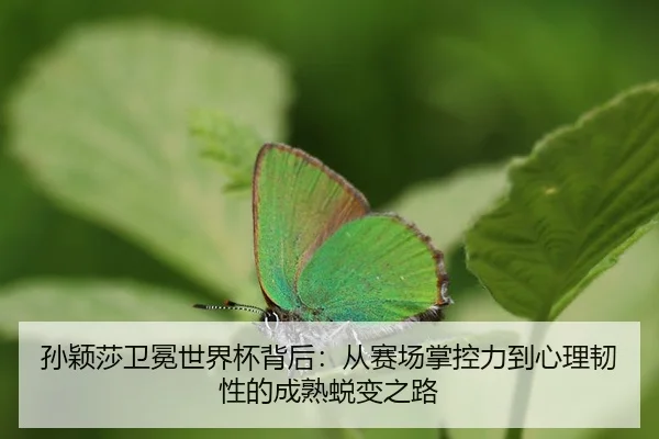 sun-ying-sha-wei-mian-shi-jie-bei-bei-hou-cong-sai-chang-zhang-kong-li-dao-xin-li-ren-xing-de-cheng-shu-tui-bian-zhi-lu-2-151.jpg